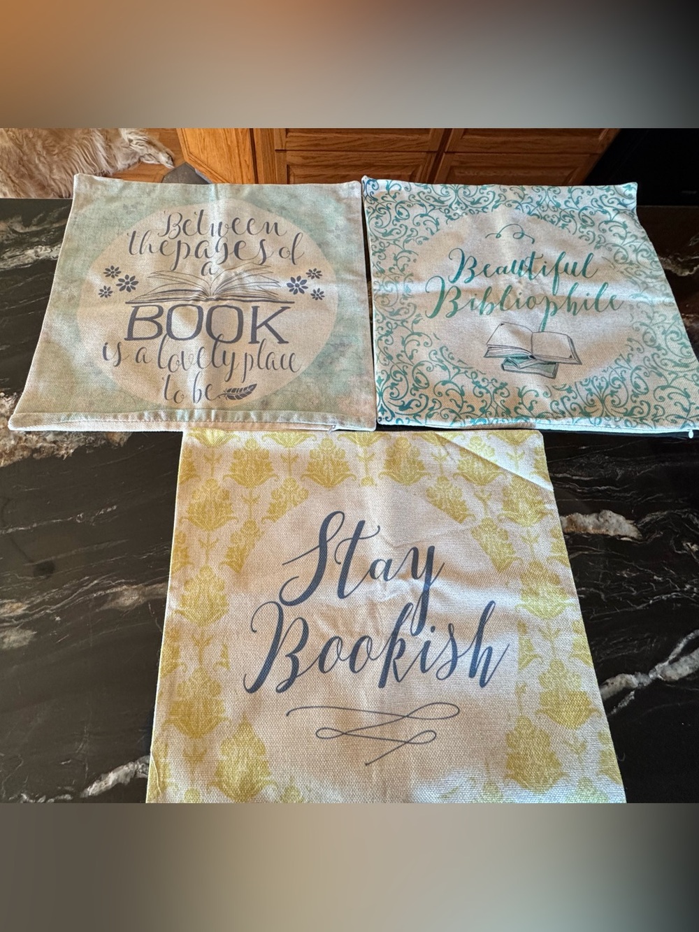 Set of 3 Literary Quote Pillow Covers Jane Austen & Reading Nook Decor 18x18